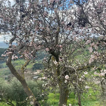 Tenuta Balabaia: Sicilian Vendégház *